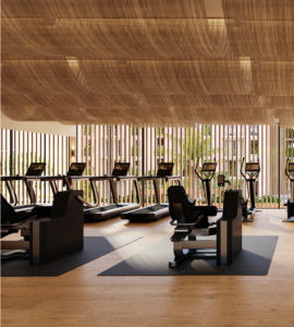 gimnasio
